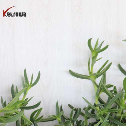 پارکت لمینت تکنوپوش (آدلر) کد (A37)K